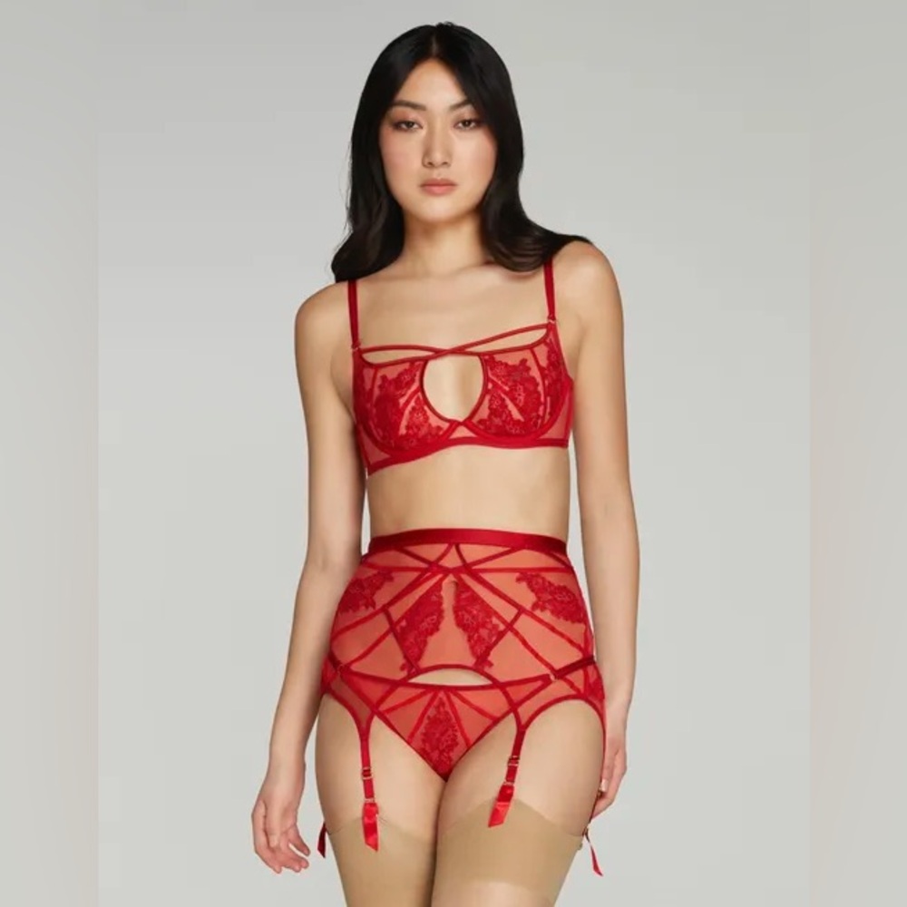 Agent Provocateur Red Lace Bra